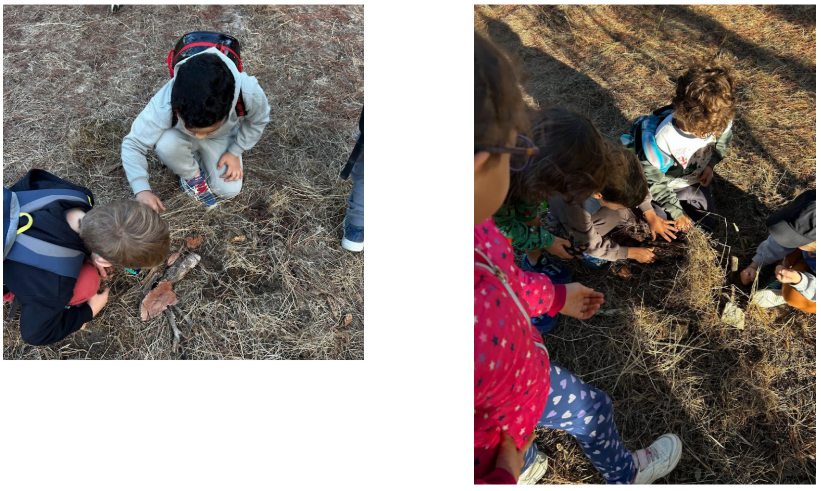 destaca ep 2025 10 04