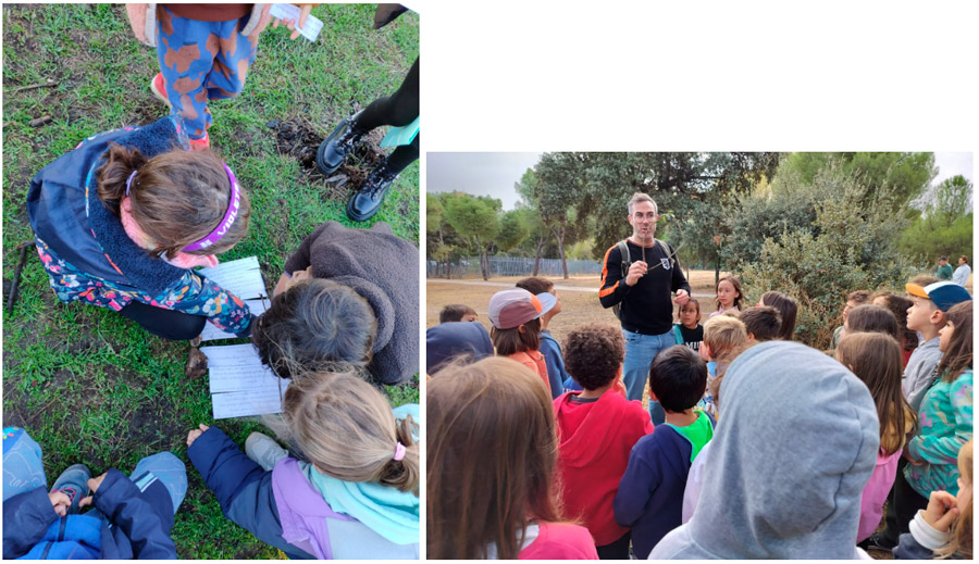 destaca ep 2025 10 02