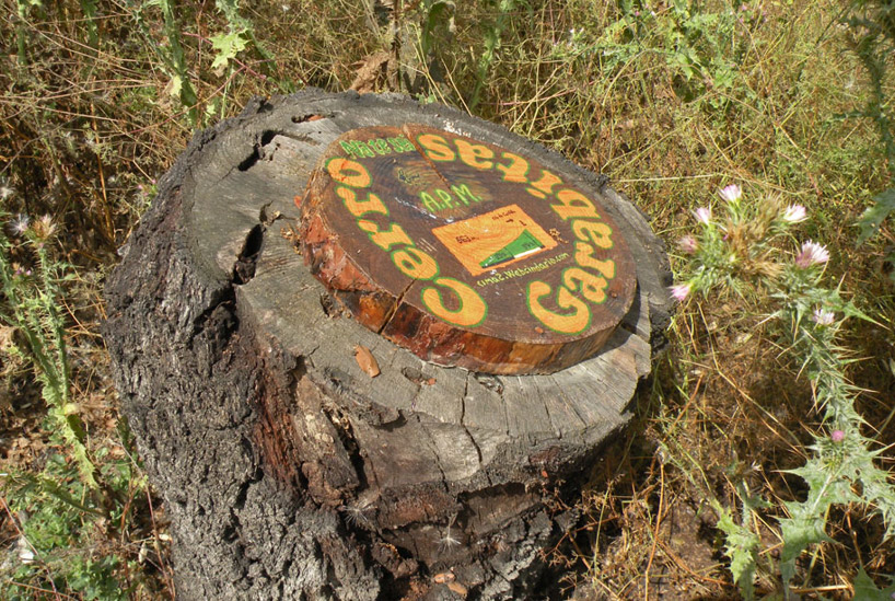 Cerro Garabitas