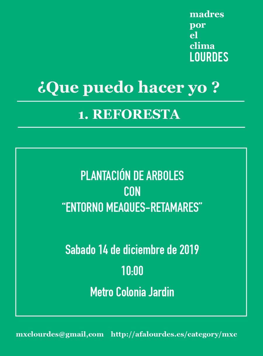 mxc planta arboles 2019.12.14